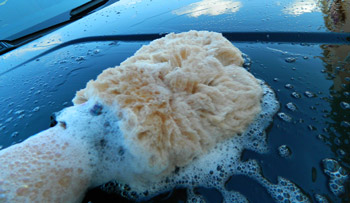 The Sheepskin Wash Mitt glides across your paint without scratching it!