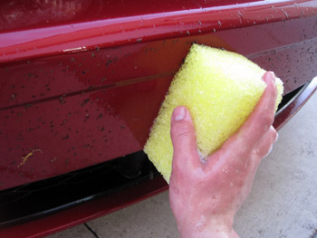 BLACKFIRE Bug and Tar Eliminator Sponge removes bug guts without scratching paint